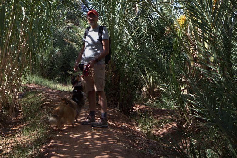 La visite de la palmeraie